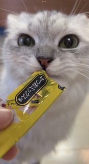`2024.11.15C.jpeg