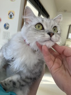 `2024.7.18G.JPG