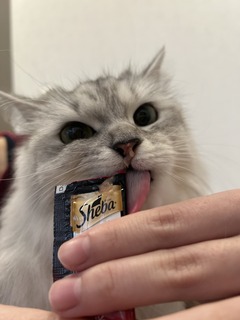 `2025.1.11A.jpeg